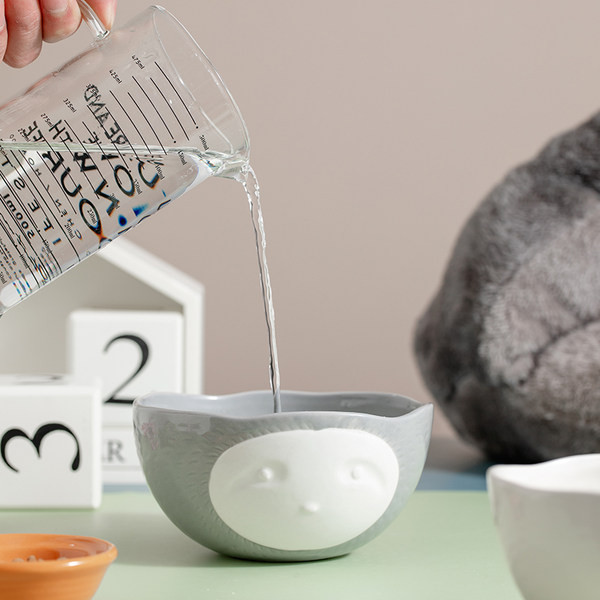 Bol din ceramica pentru mancarea pisicilor