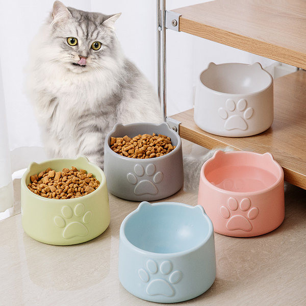 Mitmes värvitoonis keraamiline kauss, mis sobib lemmikloomatoiduks