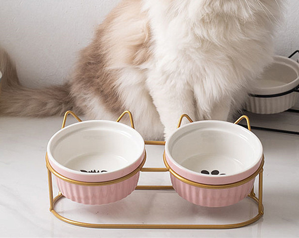 Bol din ceramica pentru mancarea pisicilor