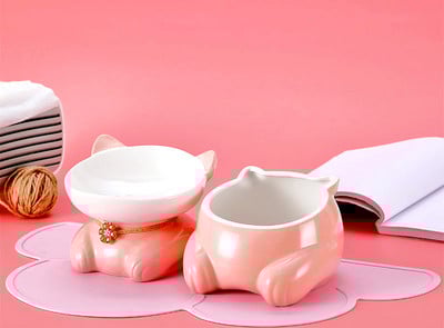 Μπολ με νερό για γάτα - ένα ή δύο