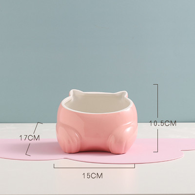 Μπολ με νερό για γάτα - ένα ή δύο