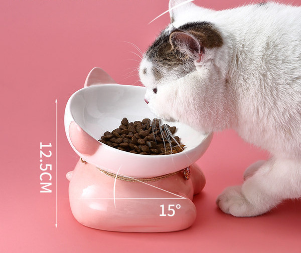 Μπολ με νερό για γάτα - ένα ή δύο