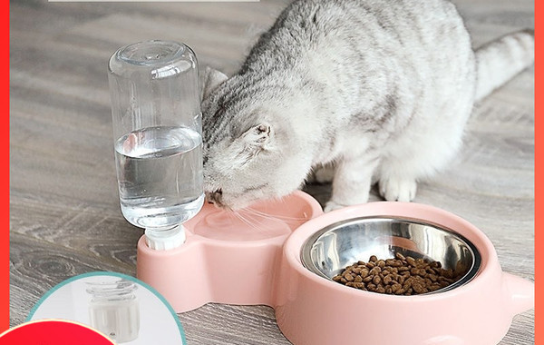 Bol dublu pentru hrana pentru pisici si dozator de apa