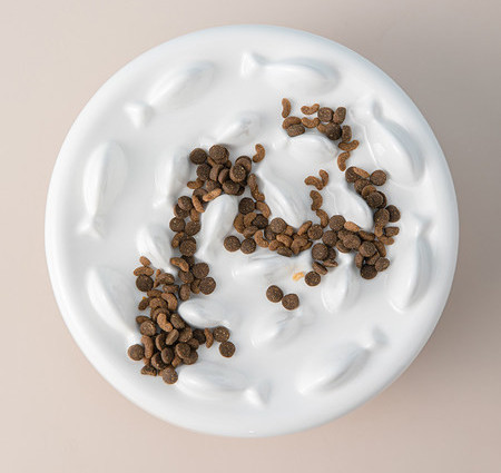 Bol din ceramică cu sau fără suport pentru pisici