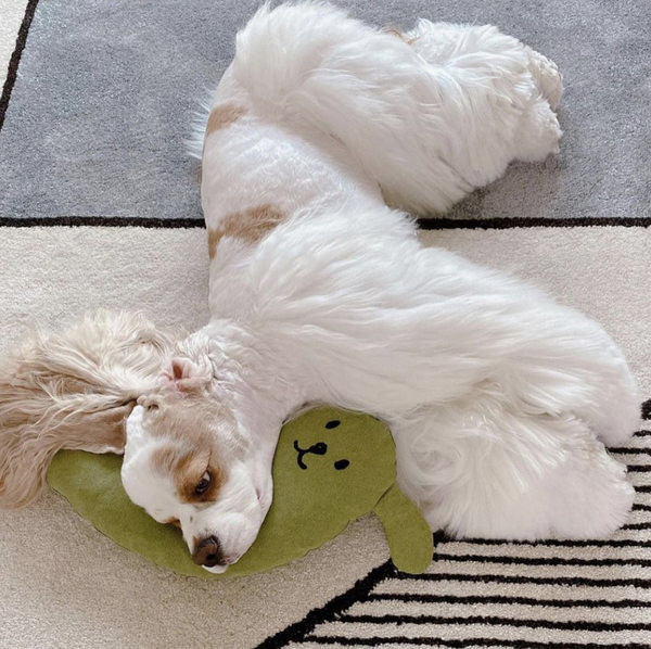 3D-elemendiga padi kassidele ja koertele