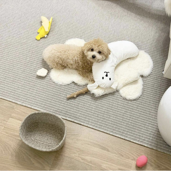 3D-elemendiga padi kassidele ja koertele