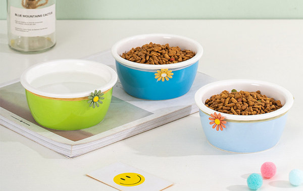 Keraamiline lemmikloomatoidukauss