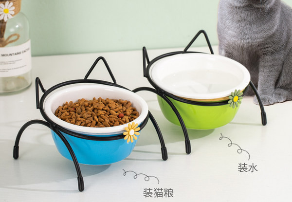 Keraamiline lemmikloomatoidukauss