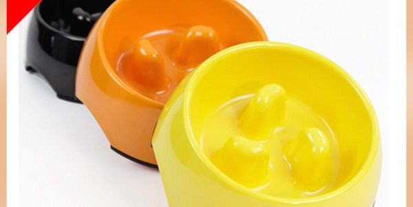 Ümmargune plastikust kauss kassitoidu jaoks