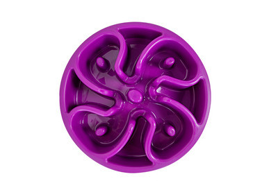 Bol de plastic în diferite culori