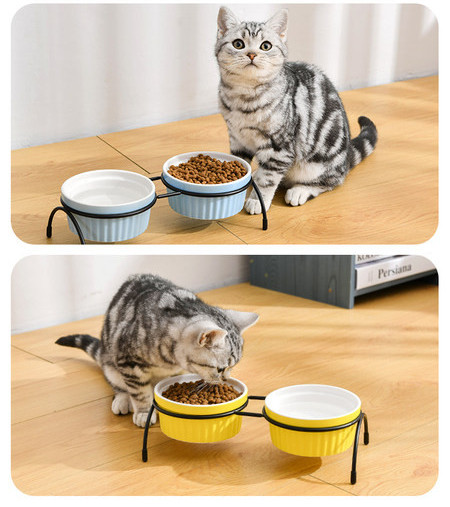 Κεραμικό μπολ με βάση για τροφές για κατοικίδια