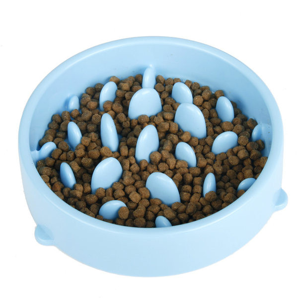 Μπολ γάτας για αργό τάισμα