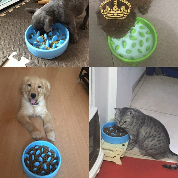 Μπολ γάτας για αργό τάισμα