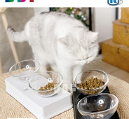 Kahekordne kauss kassidele