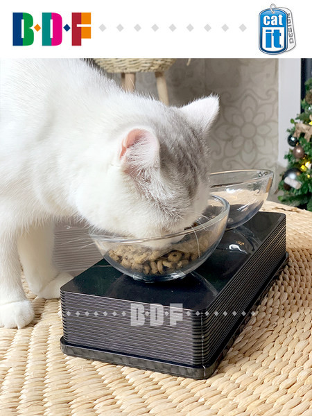 Kahekordne kauss kassidele