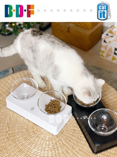 Kahekordne kauss kassidele