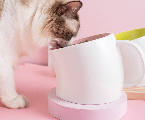 Купа за храна на домашен любимец с дръжка