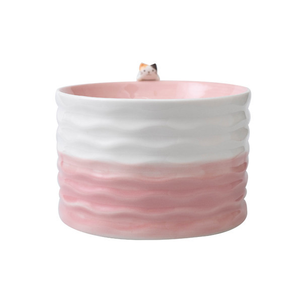 Kassitoidukauss sillerdavates värvides