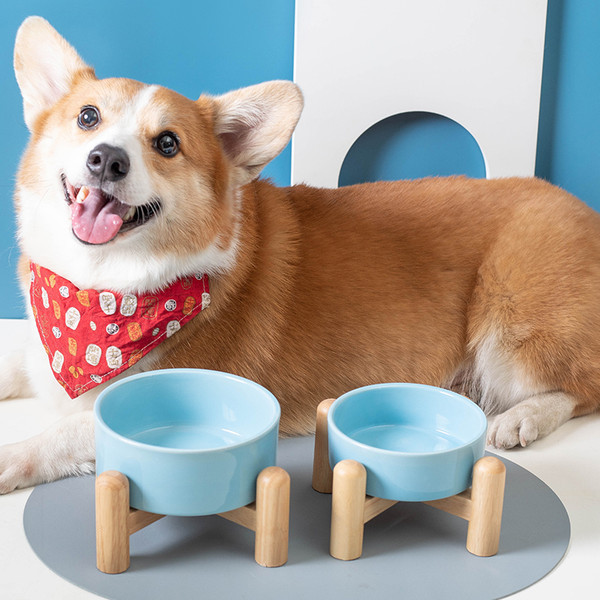 Keraamiline kauss koos alusega kassitoidu jaoks