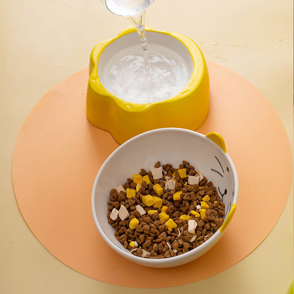 Bol din ceramica pentru mancarea pisicilor - mai multe modele