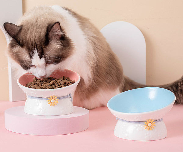 Bol rotund din ceramică pentru pisici