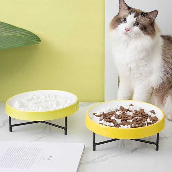 Bol rotund pentru hrana pisicilor