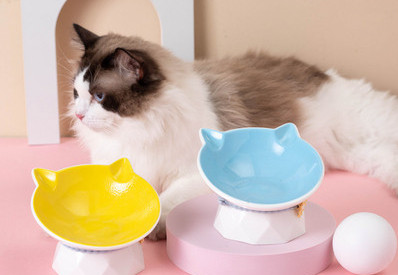 Цветна керамична купа за котки