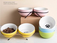 Kahest või ühest kausist koosnev komplekt kassitoidu jaoks