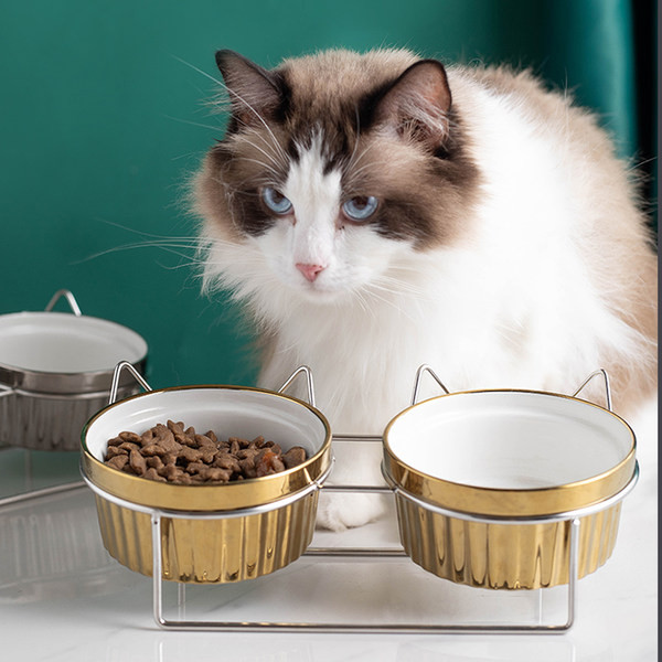 Bol cu mancare pentru pisici in doua culori