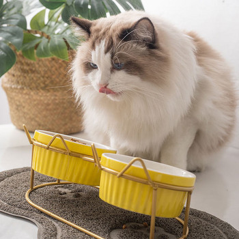 Μεταλλική βάση με μπολ για φαγητό και νερό για γάτες