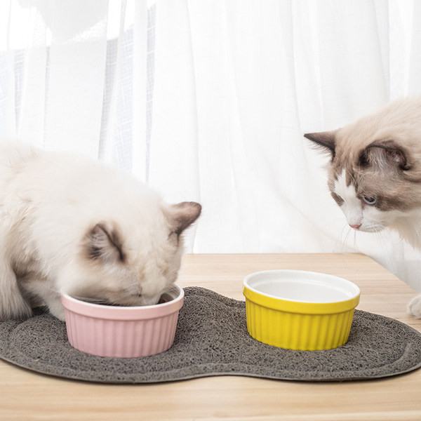 Ümmargune alusega kauss kassidele