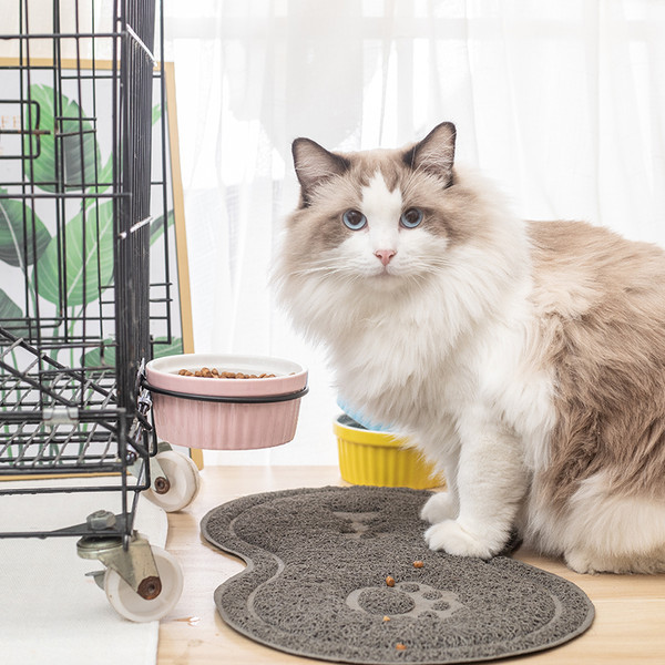 Ümmargune alusega kauss kassidele