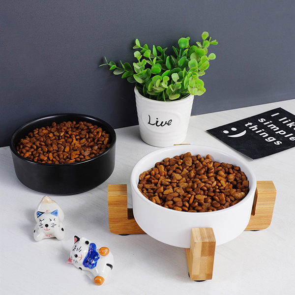 Bol cu mancare pentru pisici - mai multe modele