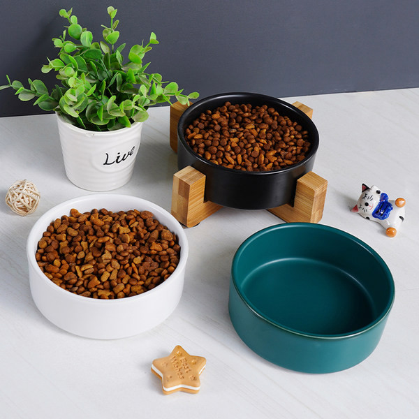 Bol cu mancare pentru pisici - mai multe modele
