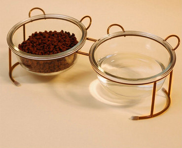 Kassi klaasist kauss - üks või kaks tükki