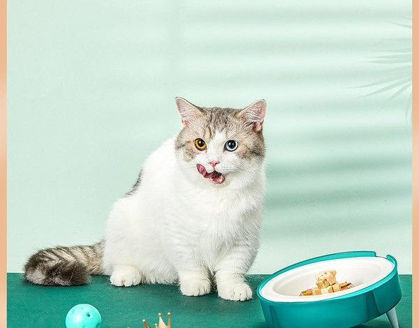 Suport farfurie de unică folosință