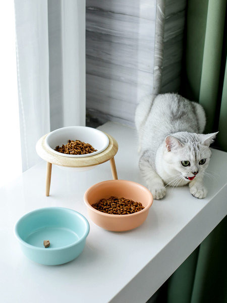 Kaks kassitoidu plastkausi mudelit