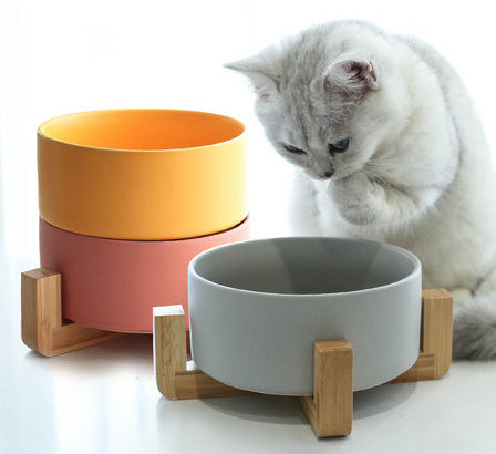 Keraamiline kauss kassitoidu jaoks – alusega või ilma