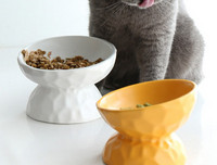 Keraamiline kauss kassidele – sobib toiduks ja veeks