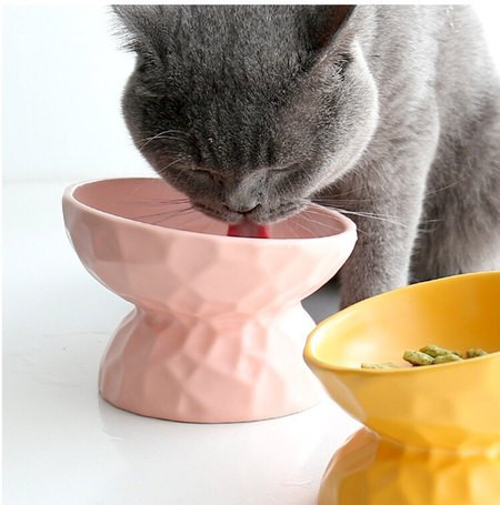 Keraamiline kauss kassidele – sobib toiduks ja veeks