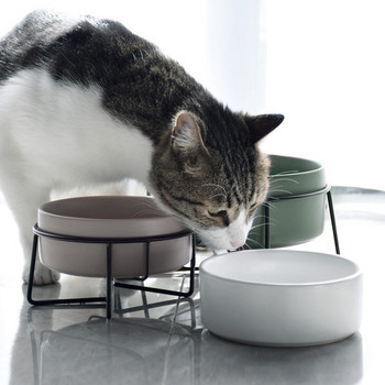 Τροφή για γατάκια ή μπολ με νερό - πολλά μοντέλα