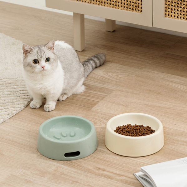 Keraamiline kauss aeglaselt toitvatele kassidele