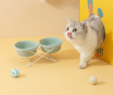 Διπλό κεραμικό μπολ για γατοτροφή