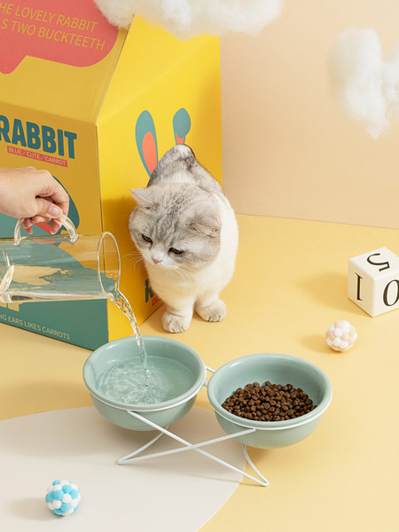 Διπλό κεραμικό μπολ για γατοτροφή