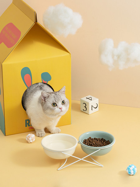 Διπλό κεραμικό μπολ για γατοτροφή