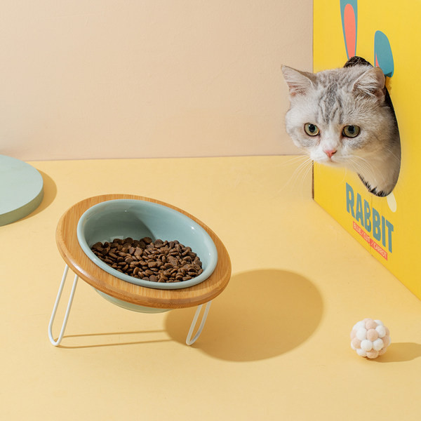 Bol pentru mâncare pentru pisici - trei culori