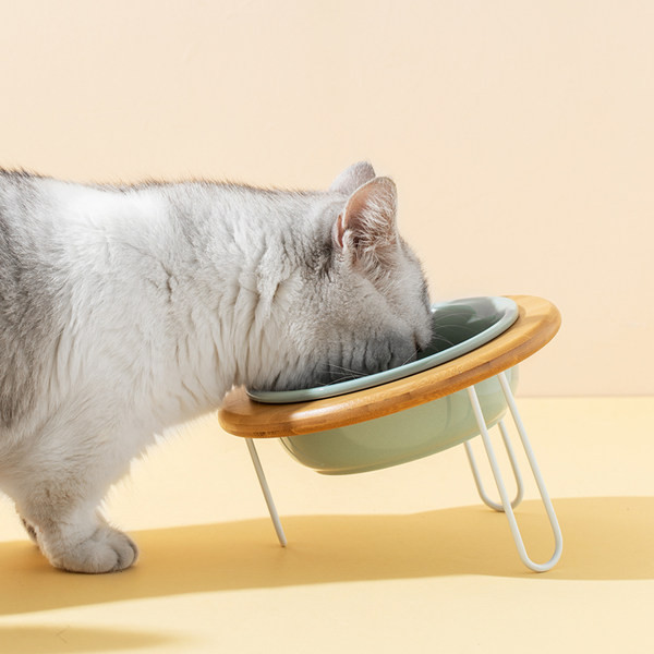 Bol pentru mâncare pentru pisici - trei culori