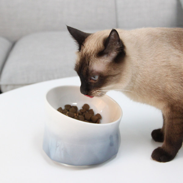 Керамична купа за котки - един или два броя