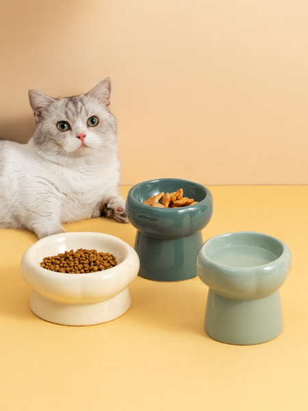 Bol din ceramică pentru pisici - potrivit pentru hrană și apă
