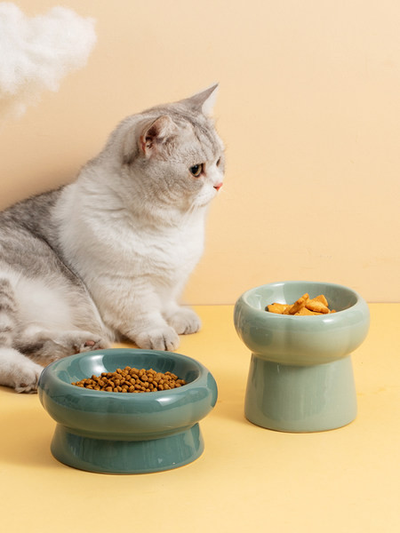 Bol din ceramică pentru pisici - potrivit pentru hrană și apă